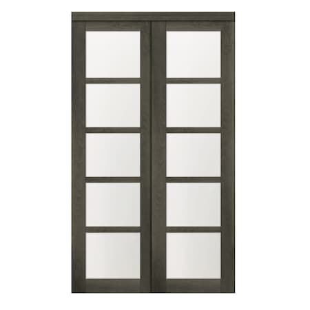 Renin 72 in. x 80 1/2 in. Euro 5-Lite Bypass Door Iron Age EU2470IAFGE072080